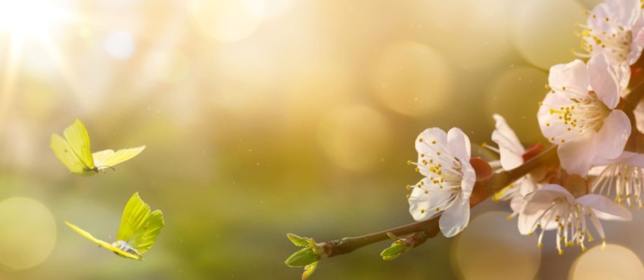 Depositphotos_140384032_XL