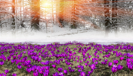 Depositphotos_151283016_XL