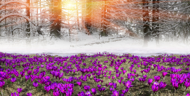 Depositphotos_151283016_XL