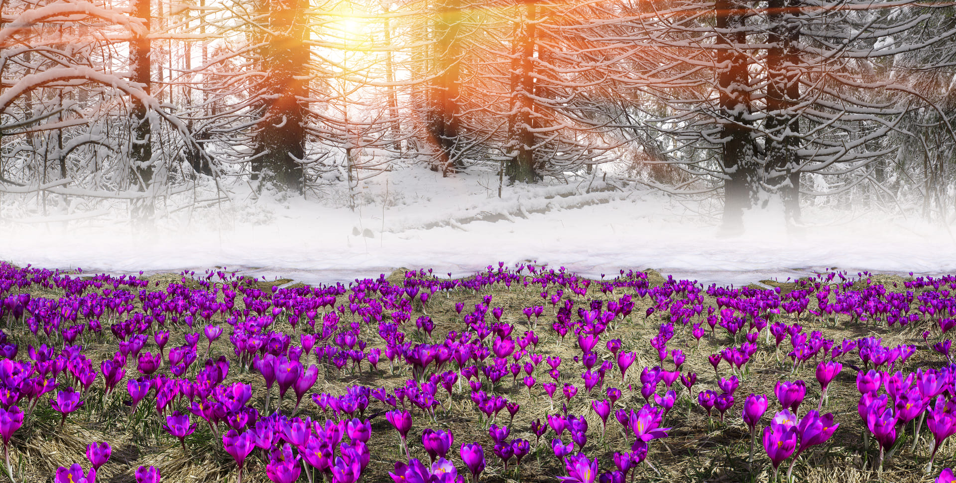 Post Featured Image